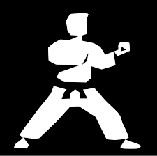 Results of Examination organized by All Assam Shotokan Karate-Do Association on 30th Jan 2022